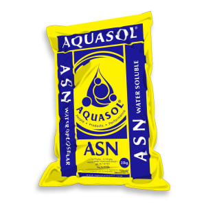 ASN
